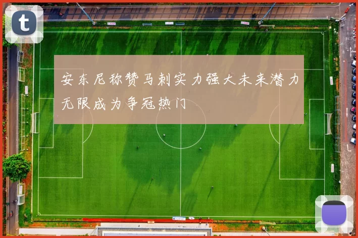 安东尼称赞马刺实力强大未来潜力无限成为争冠热门
